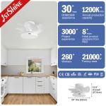 Flush Mount Small Led Light Ceiling Fan With Decorative Quiet DC Motor