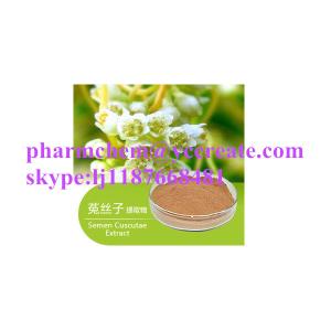 Quality Hot Sale Manufacturer Natural Herbal Extract Field Dodder Extract Powder wholesale