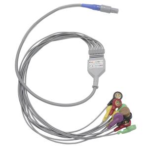 Quality Biomedical Instruments 10 leads Holter ECG Cable and Leadwires wholesale