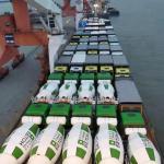 China To Brunei Cargo International Bulk Shipping Services / Breakbulk Shipping