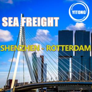 Quality Shenzhen China To Rotterdam Netherlands Sea Freight Logistics FOB DDU Trade Term wholesale