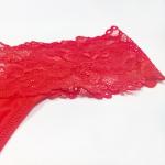 Nylon Hipster Panties With Lace Ultra Soft Sexy Stretch Lace Briefs See Through