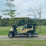 2 Passenger Electric Golf Cart 48V Lithium Battery