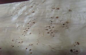 Quality Flat Burled Wood Veneer Sliced Cut , Constructional Ash Burl Veneer wholesale