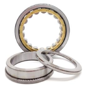 Quality ODM Chrome Steel Sealed Cylindrical Roller Bearing NU1018 90x140x24mm wholesale