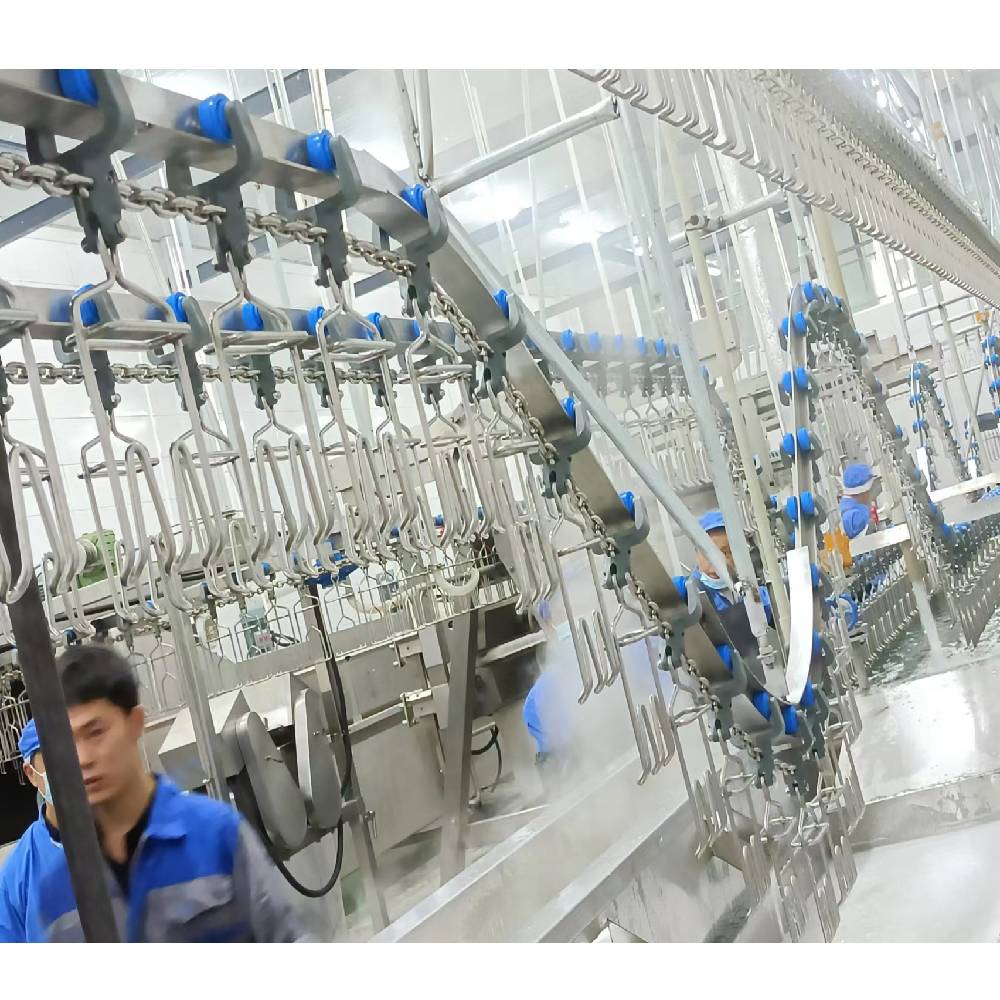 Customized Automatic Halal Poultry Slaughtering Equipment For Chicken Plucking Process