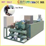 5 Kg 10 Kg 20 Kg 50 Kg Ice Cans Ice Block Making Machine Energy Saving