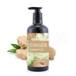 Herbal Beauty Hair Shampoo Dandruff Hair Loss Hair Growth Ginger Shampoo