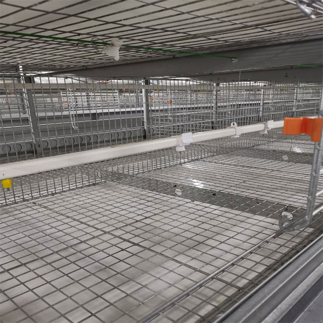 180 Birds H Type Broiler Chicken Cage 1480mmx1750mmx440mm