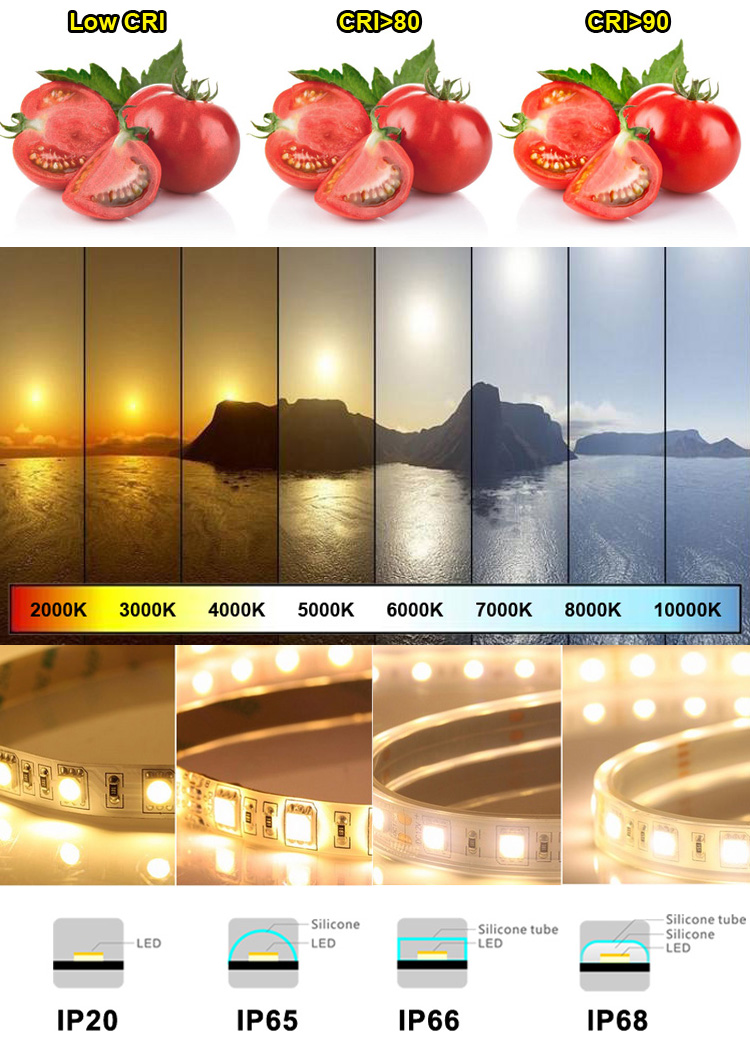 Custom Ra70 Flex LED Strip Lights 60 120 180 240L/M 8mm 10mm 12V 24V SMD 2835 IP20 IP65