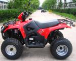 Oil Cooled Youth Racing Atv 260cc With Large Size Reverse Gear / Inside Gear Box
