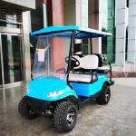 60V 3.5KW UTV 4 Seater Golf Cart Buggies Car 45mph Customizable