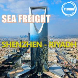 Quality Via Dammam Global Sea Freight From China To Saudi Arabia Worldwide Shipping Agent wholesale