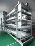 Automatic Harvesting Broiler Cage Steel Poultry Houses