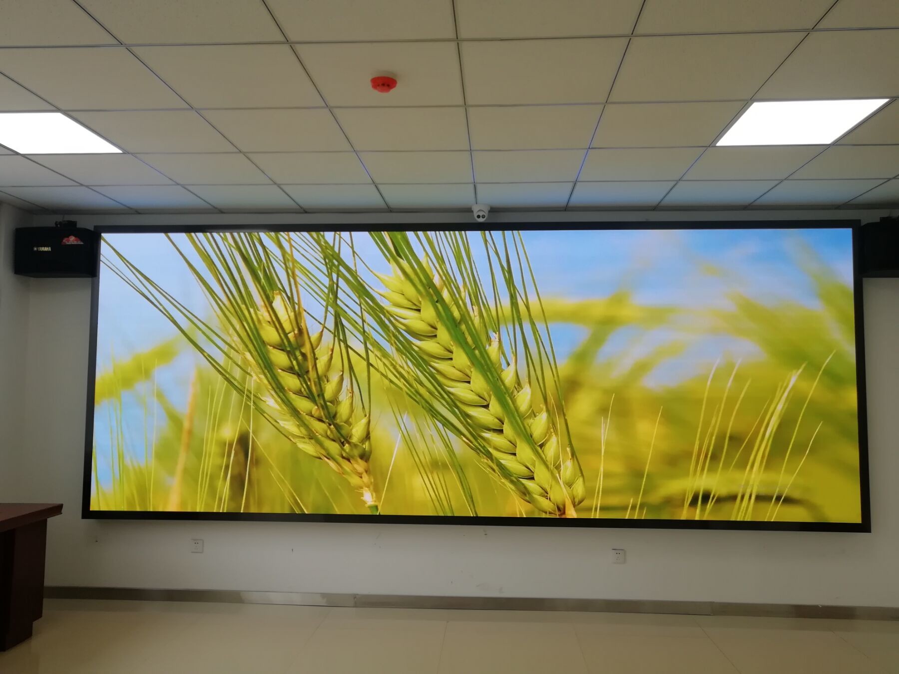 Indoor Outdoor Advertising Small Pitch LED Display 0.2KG 1.25MM LED Screen Wall