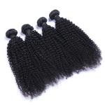Brazilian Virgin Kinky Curly Raw Hair Bundles Cuticle Aligned 10A Grade