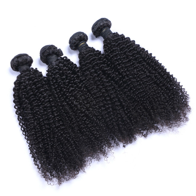 Brazilian Virgin Kinky Curly Raw Hair Bundles Cuticle Aligned 10A Grade