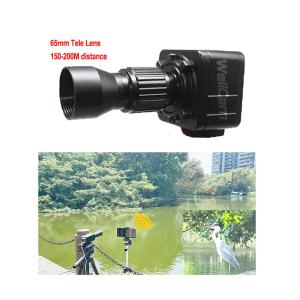 Quality Long Distance COMS WIFI Video Surveillance Camera For Bird Watching wholesale