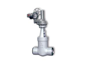 China API 150Lb Pressure Seal Bonnet Gate Valve For Petrochemical Industry on sale