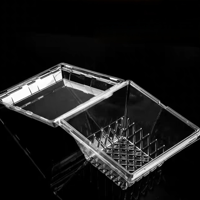 Customized square anti fog PET transparent vegetable lock fresh box disposable blister herb clamshell packaging lettuce plastic packaging