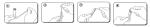 Disposable Nucleic Acid Purification Sample Collection Tube Covid 19 CE