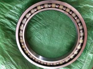 Quality NTN ,NSK Excavator Walking Bearing BA220-6SA ,BA222-1WSA wholesale