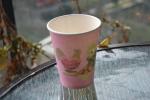 Disposable Paper Cups