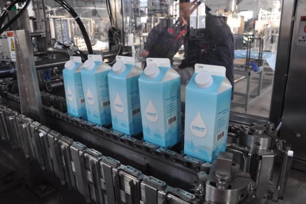 Intact Stainless Steel 304 Automatic Cartoning Machine for Milk Beverage Water