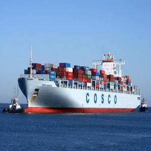 Quality Sea Freight Door To Door Shipping Service China To USA New York / Boston wholesale
