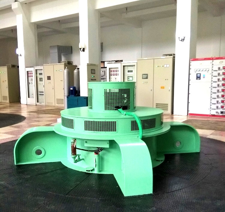 High Efficiency Stainless Steel Hydro Turbine Generator Customized 100kw