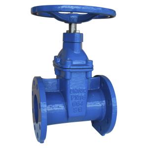 China Corrosion Resistance Resilient Gate Valve Durable Ductile Iron Gate Valve on sale