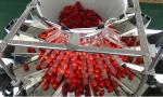 High Speed Cherry Tomato Frozen Food 14 Head Weigher Combination Scale With 2.5L