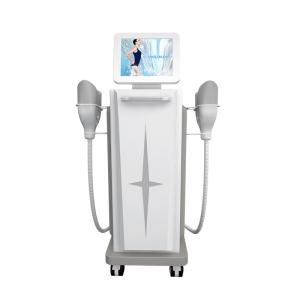 Quality 10kpa 360 Degree Cryolipolysis Fat Freezing Machine Professional wholesale
