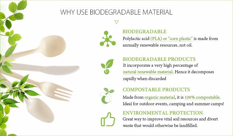 Biodegradable disposable tableware compostable cornstarch pla sugarcane bagasse