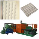 Rotary Egg Tray Making Machine For Paper Egg Carton And Apple Tray