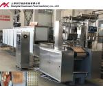 Commerical gelatin pectin small jelly gummy candy making machine / mini