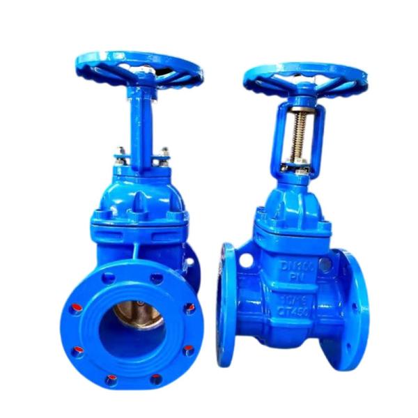 Cheap Rising Stem Flange Gate Valve Soft Sealed Ductile Iron for Sewage Pipelines Suitable for sale