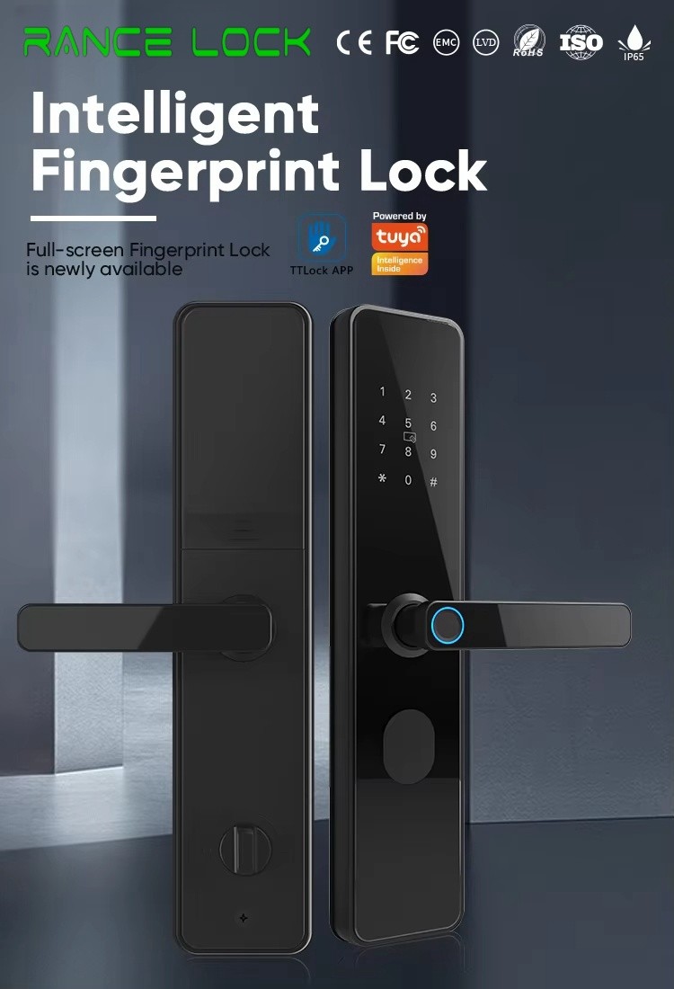TTlock and Bluetooth smart Door Lock Fingerprint ODM Digital Door Lock