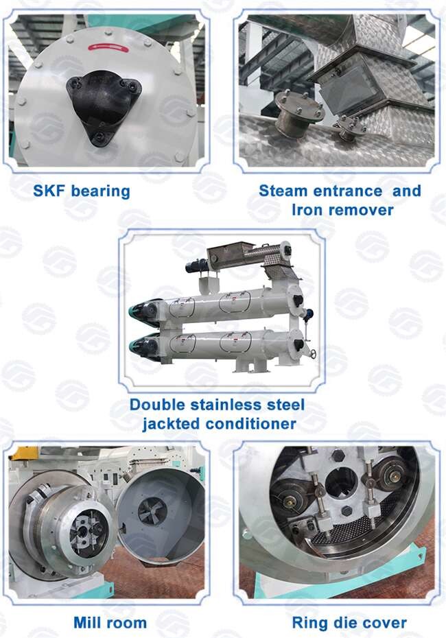 20TPH SKF Bearing Ring Die Granulator Large Capacity Animal Feed Production Procese