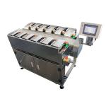 Chili Carrot Food Grade Siemens Belt Weigher For Irregular Product