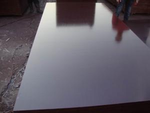 Quality Water-Proof Film Faced Scaffolding Plywood for Construction, Shandong Factory wholesale