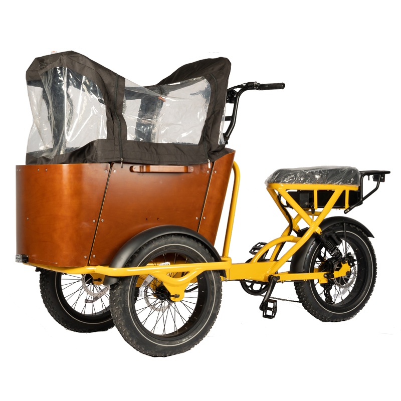 NO Foldable Three Wheel Cargo Tricycle E-bike for Family and Food Delivery Customizable