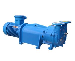 Quality 2BV-5110 2BV-5110 Water Ring Vacuum Pump Vertical Type CNC wholesale