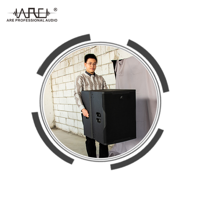 ARE AUDIO single 10 inch professional performance outdoor line array speaker set audio speaker system