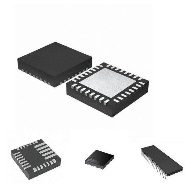 BNC-P-2C(40)