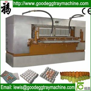 Quality Egg Tray Production Line, Pulp Molding Machine wholesale