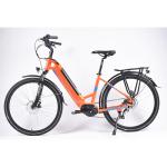 6 Speed Mid Drive Step Through Electric Mountain Bike 750W 150G Aluminum Frame