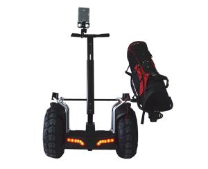 Quality 21 Inch Two Wheel Selfbalance Scooter Board With Rechargable Lithium Battery wholesale