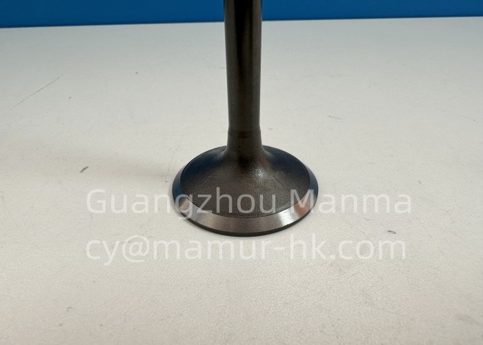 Truck Parts MAMUR Intake Valve For ISUZU 4JH1 4JG2 4JA1 8-97131729-0