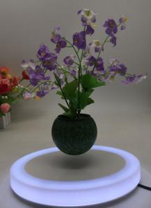 Quality led light magnetic levitation floating air bonsai plant pot tree gift wholesale